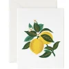 Lemon Blossom Card