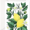 Lemon Delight Card