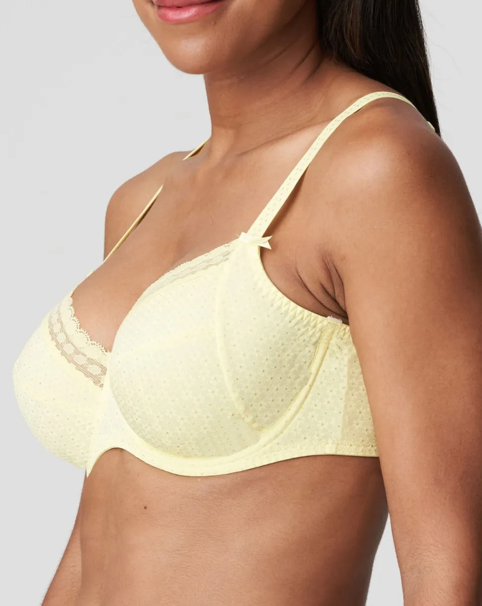 Sapri Full Cup Bra: Size, 40C, 40E